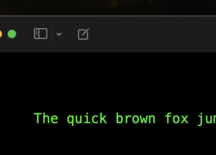 如何禁用 macOS 内置文本预测功能