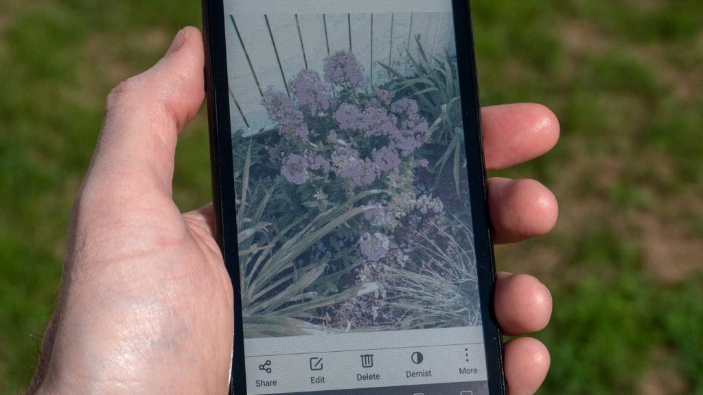 Photo: Andrew Liszewski/Gizmodo